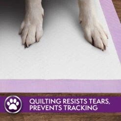 Simple Solution 6-Layer All Day Premium Dog Pads -PetSafe Kong Shop 159774 PT5. AC SS1800 V1703797807