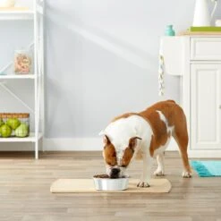 Frisco Stainless Steel Dog & Cat Bowl 6 Frisco Stainless Steel Dog & Cat Bowl -PetSafe Kong Shop 159867 PT3. AC SS1800 V1570543097