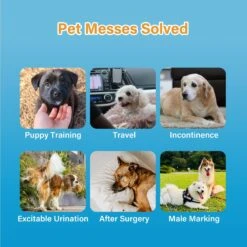 Honey Care All-Absorb Disposable Male Dog Wraps -PetSafe Kong Shop 159971 PT2. AC SS1800 V1696519268