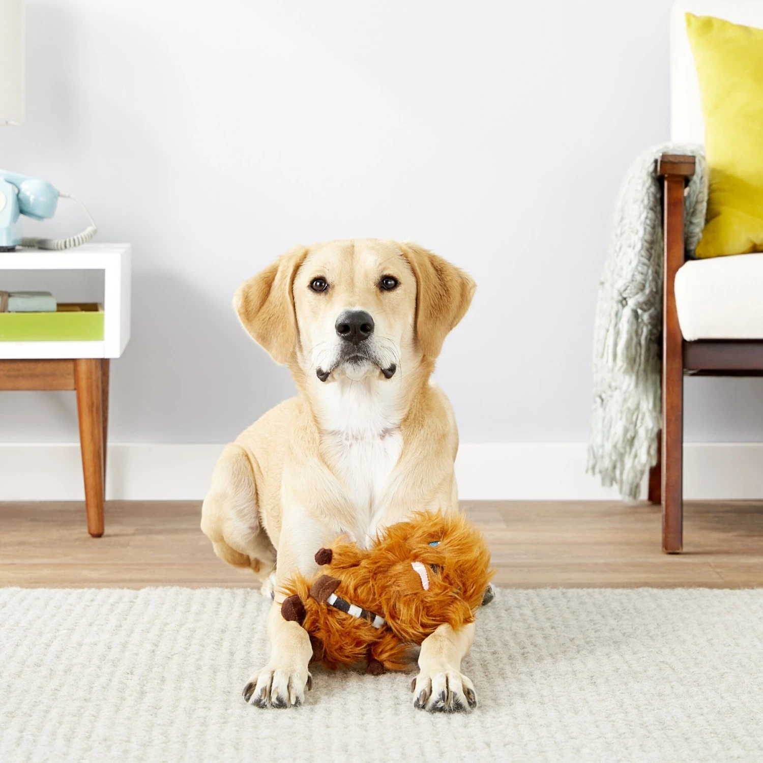 Fetch For Pets Star Wars Chewbacca Squeaky Plush Dog Toy 3 Fetch For Pets Star Wars Chewbacca Squeaky Plush Dog Toy - Image 3