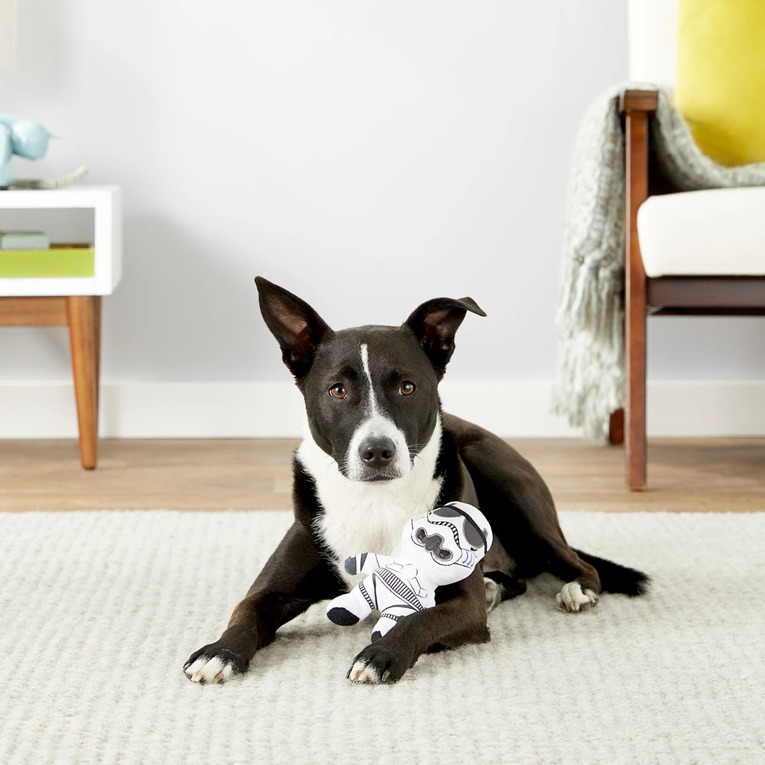 Fetch For Pets Star Wars Storm Trooper Squeaky Plush Dog Toy 2 Fetch For Pets Star Wars Storm Trooper Squeaky Plush Dog Toy - Image 2