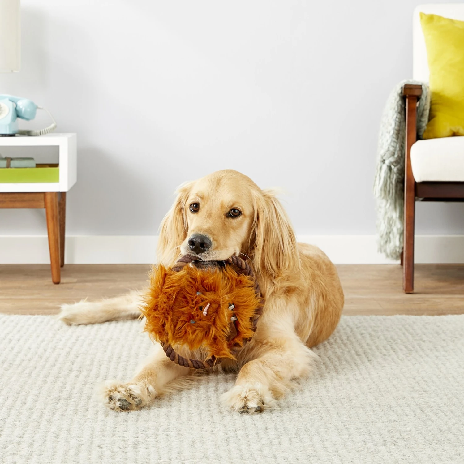 Fetch For Pets Star Wars Chewbacca Squeaky Plush Rope Dog Toy 2 Fetch For Pets Star Wars Chewbacca Squeaky Plush Rope Dog Toy - Image 2