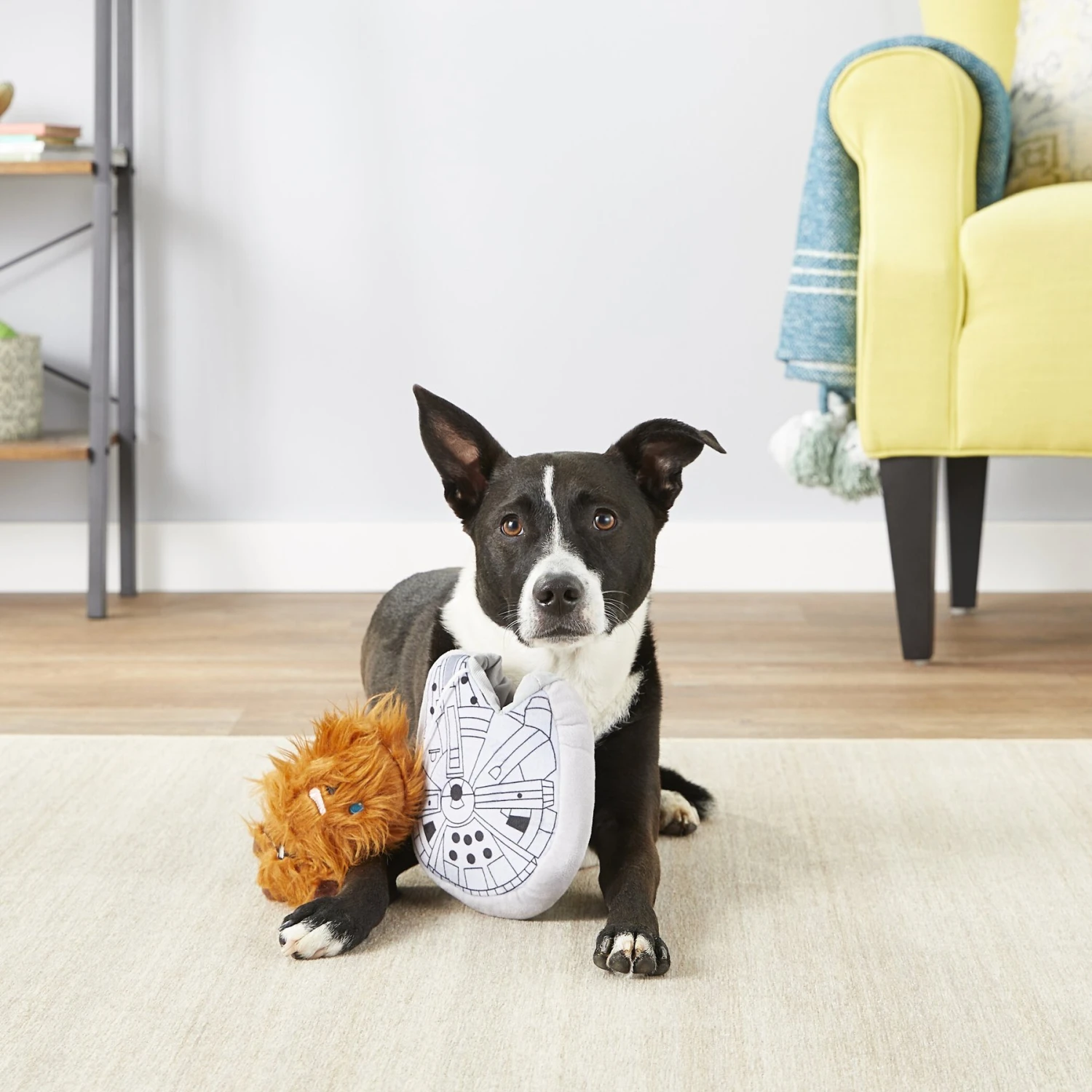 Fetch For Pets Star Wars Chewbacca M. Falcon Squeaky Plush Dog Toy 2 Fetch For Pets Star Wars Chewbacca M. Falcon Squeaky Plush Dog Toy - Image 2