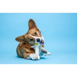 Hartz Chew 'n Clean Twisty Bone Bacon Scented Flexible Dog Chew Toy -PetSafe Kong Shop 161034 PT3. AC SS1800 V1667337297