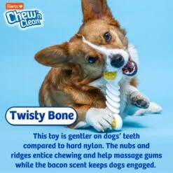 Hartz Chew 'n Clean Twisty Bone Bacon Scented Flexible Dog Chew Toy -PetSafe Kong Shop 161034 PT4. AC SS1800 V1667337299