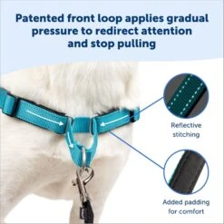 PetSafe Deluxe Easy Walk Nylon Reflective No Pull Dog Harness 10 PetSafe Deluxe Easy Walk Nylon Reflective No Pull Dog Harness -PetSafe Kong Shop 161211 PT2. AC SS1800 V1695836455