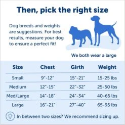 PetSafe Deluxe Easy Walk Nylon Reflective No Pull Dog Harness 12 PetSafe Deluxe Easy Walk Nylon Reflective No Pull Dog Harness -PetSafe Kong Shop 161211 PT4. AC SS1800 V1695836455