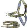 PetSafe Chic Easy Walk No Pull Dog Harness
