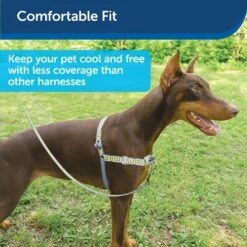 PetSafe Chic Easy Walk No Pull Dog Harness 8 PetSafe Chic Easy Walk No Pull Dog Harness -PetSafe Kong Shop 161228 PT2. AC SS1800 V1626447687