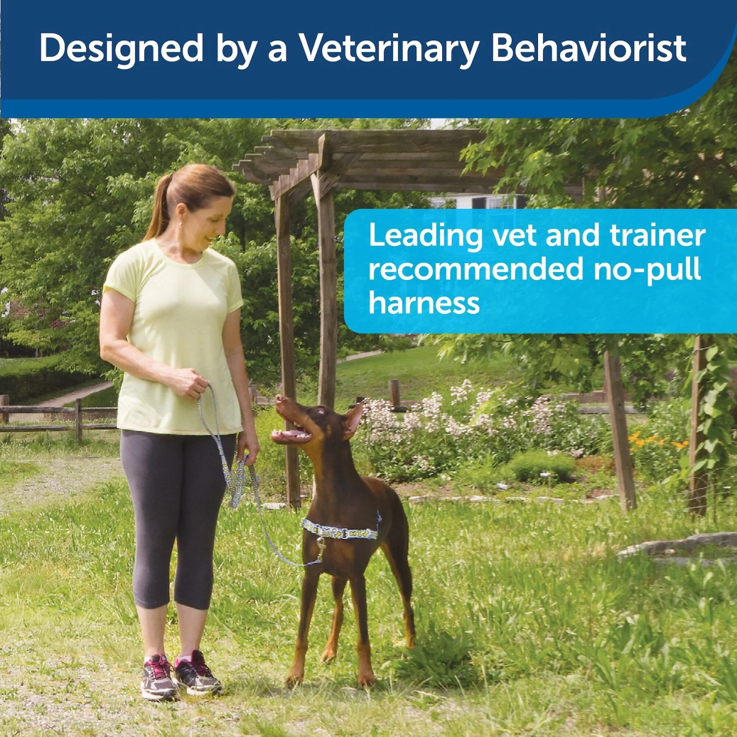 PetSafe Chic Easy Walk No Pull Dog Harness 4 PetSafe Chic Easy Walk No Pull Dog Harness - Image 4