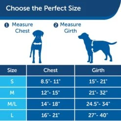 PetSafe Chic Easy Walk No Pull Dog Harness 11 PetSafe Chic Easy Walk No Pull Dog Harness -PetSafe Kong Shop 161228 PT5. AC SS1800 V1626451610