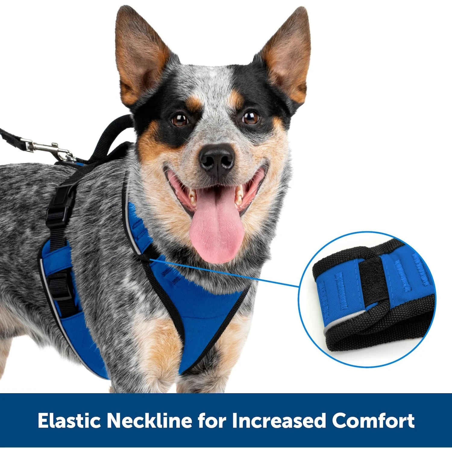 PetSafe EasySport Nylon Reflective Back Clip Dog Harness 2 PetSafe EasySport Nylon Reflective Back Clip Dog Harness - Image 2