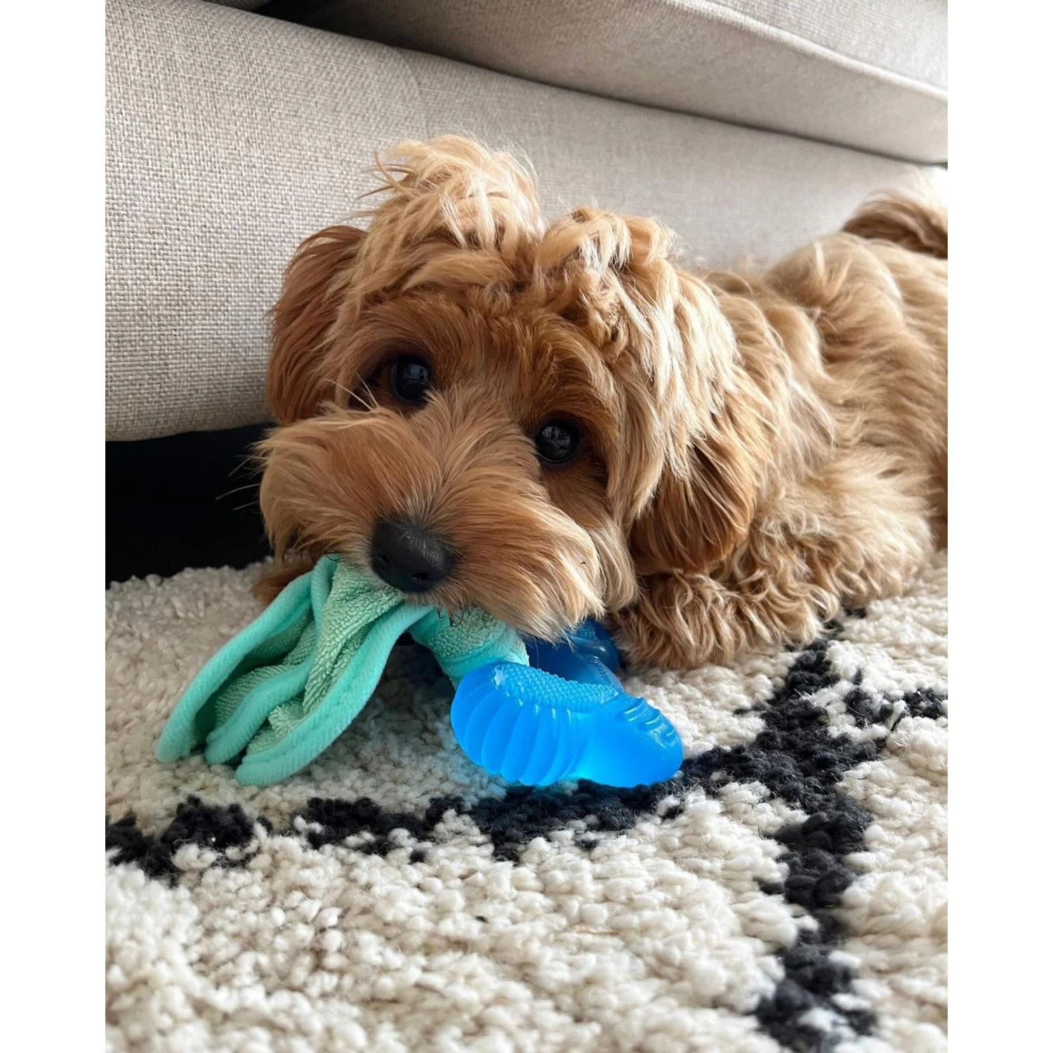 Nylabone Puppy Chew Freezer Dog Bone Chill & Chew Bone Peanut Butter 2 Nylabone Puppy Chew Freezer Dog Bone Chill & Chew Bone Peanut Butter - Image 2