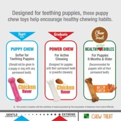 Nylabone Puppy Chew Variety Toy & Treat Triple Pack -PetSafe Kong Shop 161311 PT3. AC SS1800 V1688154738