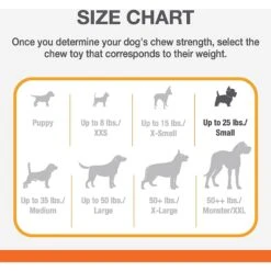 Nylabone Puppy Chew Variety Toy & Treat Triple Pack -PetSafe Kong Shop 161311 PT4. AC SS1800 V1688393264