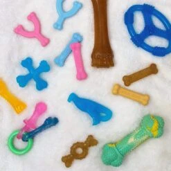 Nylabone Puppy Chew Variety Toy & Treat Triple Pack -PetSafe Kong Shop 161311 PT5. AC SS1800 V1688142362