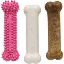 Nylabone Puppy Chew Variety Toy & Treat Triple Pack -PetSafe Kong Shop 161311 PT8. AC SS1800 V1688390258
