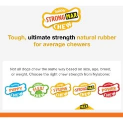 Nylabone Strong Chew Cone Stuffable Dog Toy Rubber Stuffable Cone Bacon Cone -PetSafe Kong Shop 161316 PT3. AC SS1800 V1698869188