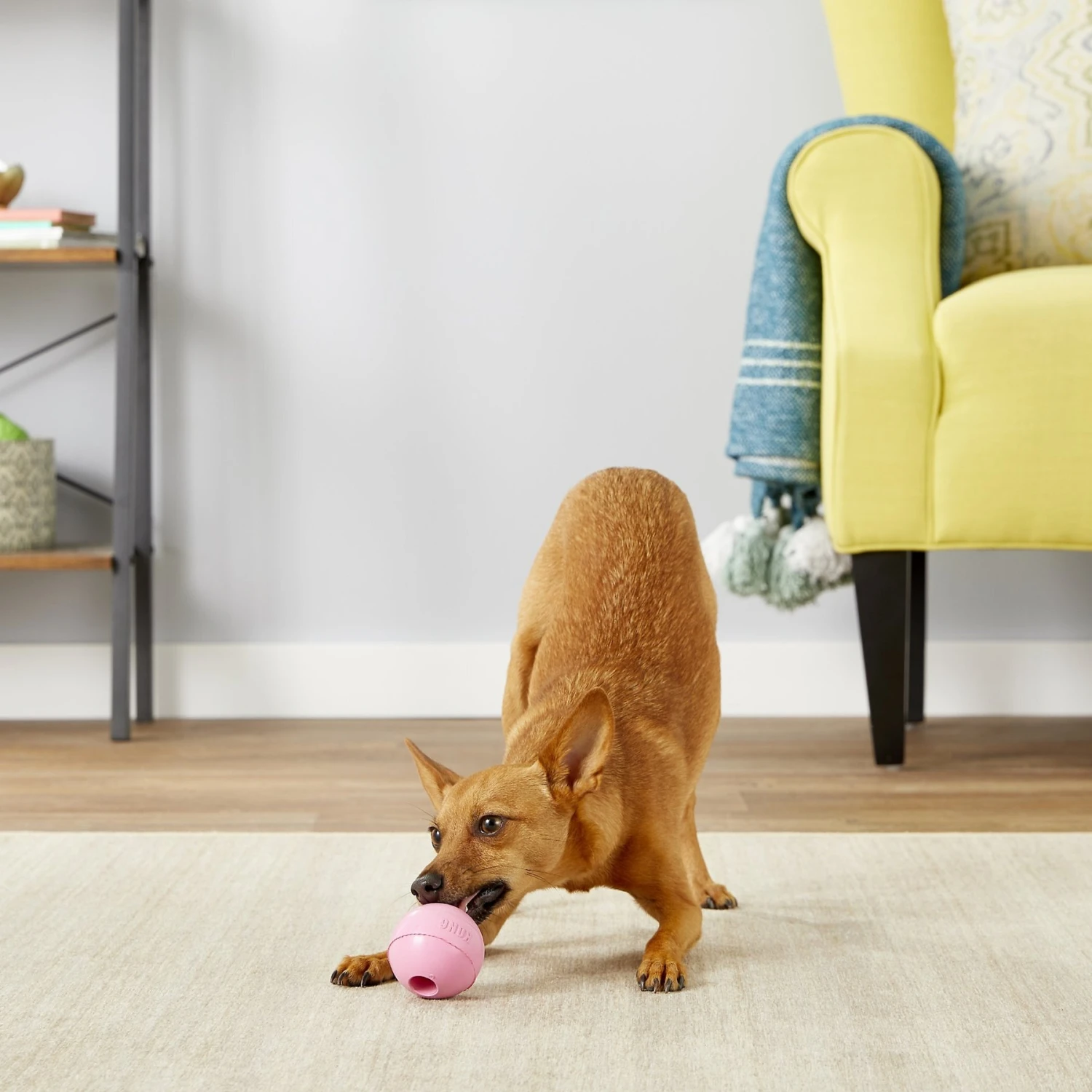 KONG Stuffable Puppy Ball Dog Toy, Color Varies 3 KONG Stuffable Puppy Ball Dog Toy, Color Varies - Image 3