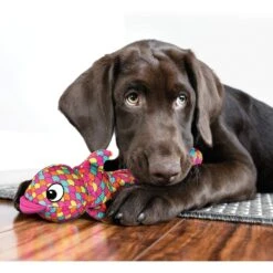 KONG Wubba Finz Dog Toy -PetSafe Kong Shop 161869 PT2. AC SS1800 V1631769991