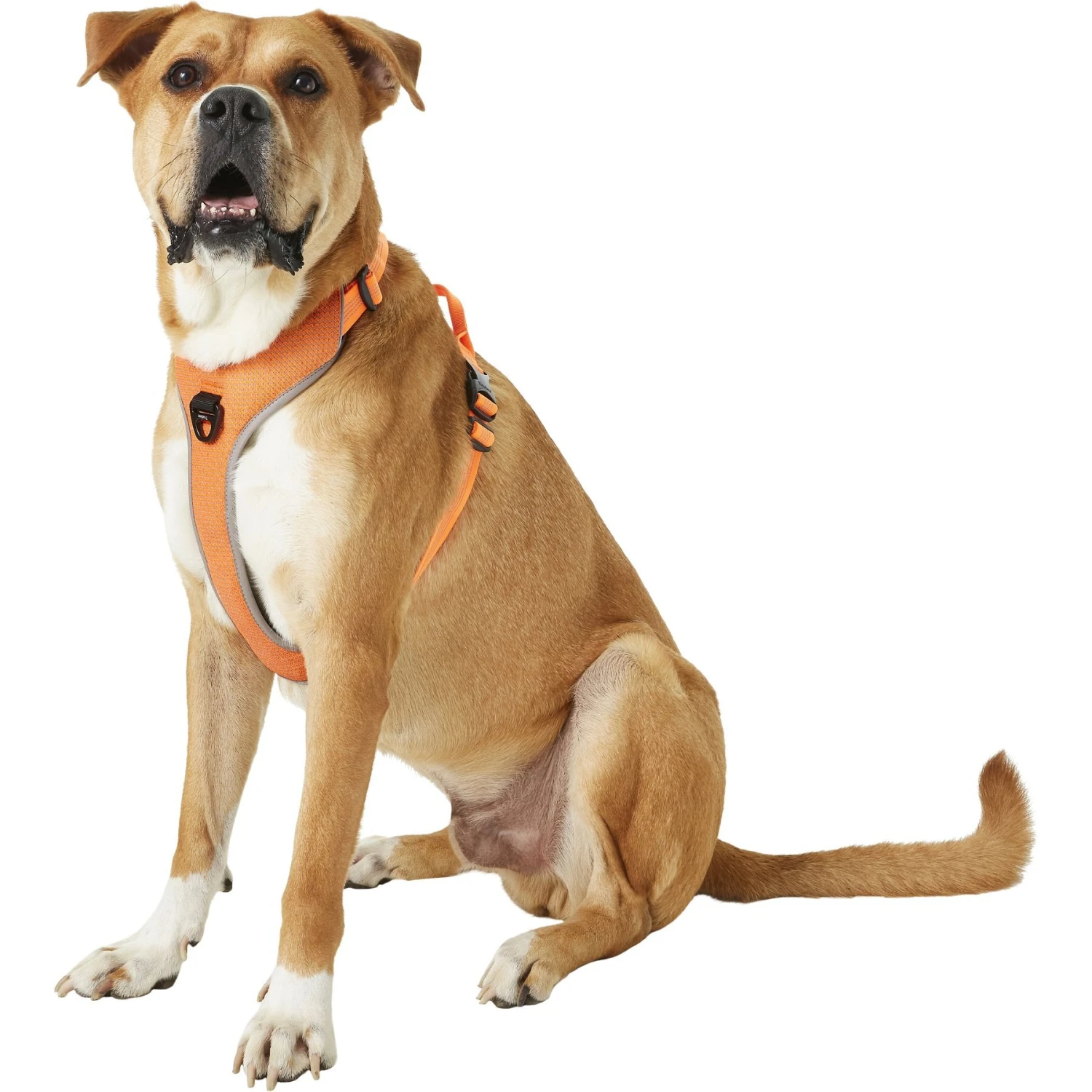 Chai's Choice Outdoor Explorer No-Pull 3M Polyester Reflective Dual Clip Dog Harness 3 Chai's Choice Outdoor Explorer No-Pull 3M Polyester Reflective Dual Clip Dog Harness - Image 3