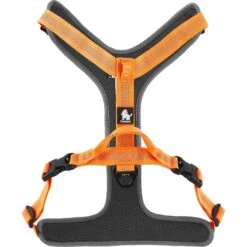 Chai's Choice Outdoor Explorer No-Pull 3M Polyester Reflective Dual Clip Dog Harness 15 Chai's Choice Outdoor Explorer No-Pull 3M Polyester Reflective Dual Clip Dog Harness -PetSafe Kong Shop 161988 PT6. AC SS1800 V1575481720