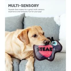 Outward Hound Squeak-Seez Cow Plush Dog Toy -PetSafe Kong Shop 162048 PT4. AC SS1800 V1636505007