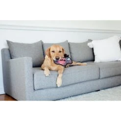 Outward Hound Squeak-Seez Cow Plush Dog Toy -PetSafe Kong Shop 162048 PT6. AC SS1800 V1636501012