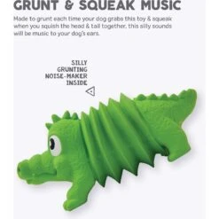 Outward Hound Accordionz Gator Stuffing-Free Squeaky Dog Toy -PetSafe Kong Shop 162058 PT2. AC SS1800 V1631681566
