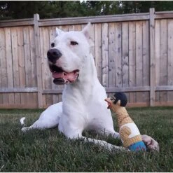 Charming Pet Squawkers Grandma Hippie Chick Squeaky Latex Dog Toy 9 Charming Pet Squawkers Grandma Hippie Chick Squeaky Latex Dog Toy -PetSafe Kong Shop 162073 PT2. AC SS1800 V1594670754