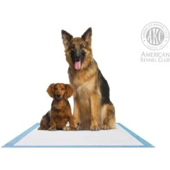 American Kennel Club AKC Dog Training Pads 11 American Kennel Club AKC Dog Training Pads -PetSafe Kong Shop 162741 PT4. AC SS1800 V1658196600