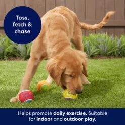 Frisco Birthday Fetch Squeaky Tennis Ball Dog Toy -PetSafe Kong Shop 162914 PT3. AC SS1800 V1692019914