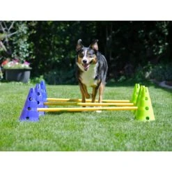 FitPAWS CanineGym Dog Agility Kit -PetSafe Kong Shop 163695 PT3. AC SS1800 V1554324726