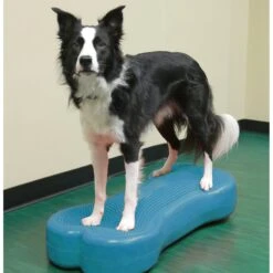FitPAWS K9FITbone Dog Training Giant Balancing Bone -PetSafe Kong Shop 163703 PT4. AC SS1800 V1554325119