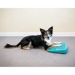 FitPAWS Dog Balancing Ramp -PetSafe Kong Shop 163716 PT3. AC SS1800 V1684874967