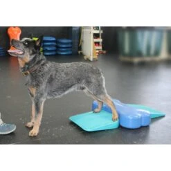 FitPAWS Dog Balancing Ramp -PetSafe Kong Shop 163716 PT4. AC SS1800 V1554327772