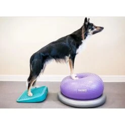 FitPAWS Dog Balancing Ramp -PetSafe Kong Shop 163716 PT8. AC SS1800 V1684887803
