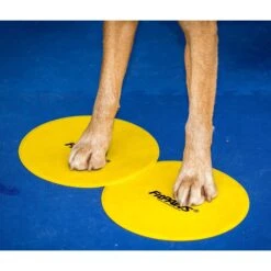 FitPAWS Dog Training Targets -PetSafe Kong Shop 163718 PT5. AC SS1800 V1554327774
