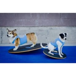 FitPAWS Dog Balancing Wobble Board -PetSafe Kong Shop 163720 PT4. AC SS1800 V1554327788