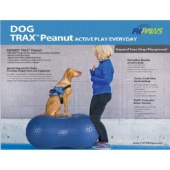 FitPAWS TRAXPeanut Dog Stability Ball 6 FitPAWS TRAXPeanut Dog Stability Ball -PetSafe Kong Shop 163736 PT3. AC SS1800 V1554328115