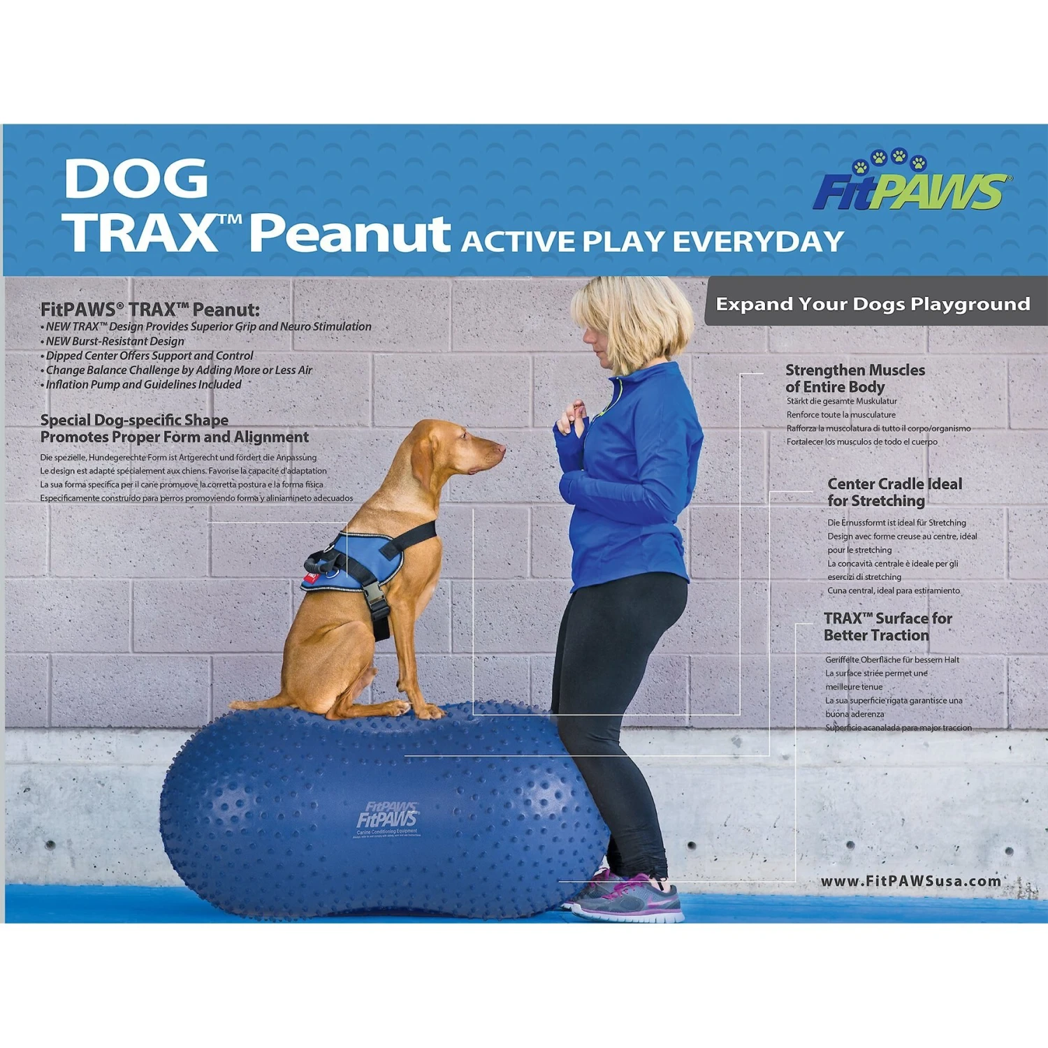 FitPAWS TRAXPeanut Dog Stability Ball 3 FitPAWS TRAXPeanut Dog Stability Ball - Image 3