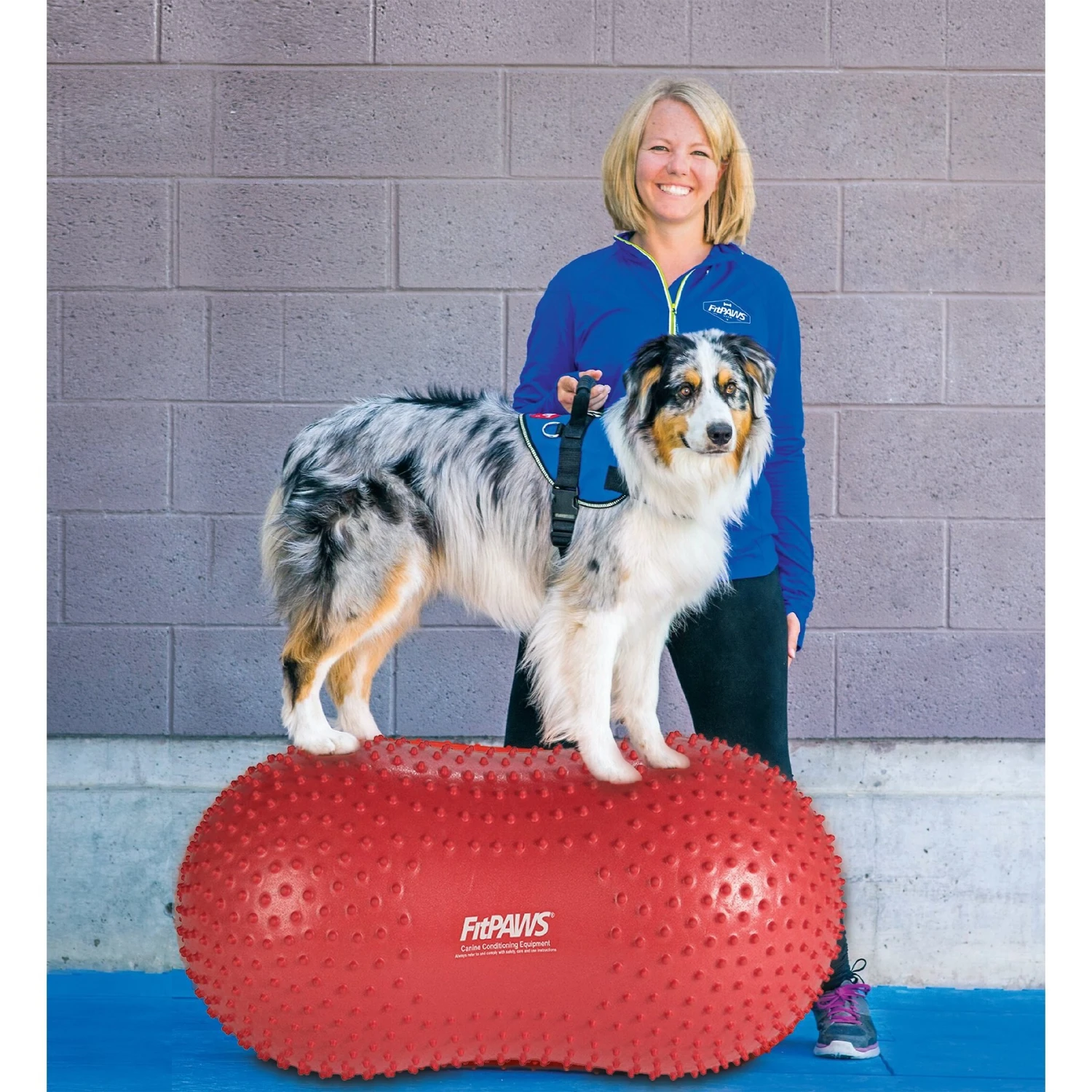 FitPAWS TRAXPeanut Dog Stability Ball 4 FitPAWS TRAXPeanut Dog Stability Ball - Image 4