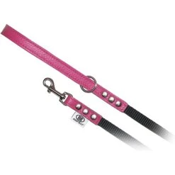 Buddy Belts Accent Leather & Nylon Dog Leash