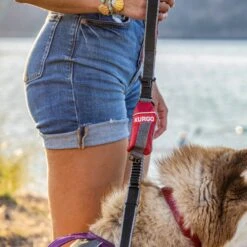 Kurgo Duty Bag Dog Poop Bag Dispenser -PetSafe Kong Shop 163896 PT3. AC SS1800 V1636148845