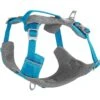 Kurgo Journey Air Polyester Reflective No Pull Dog Harness