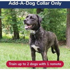 Free Spirit Remote Trainer Add-A-Dog Collar -PetSafe Kong Shop 163935 PT2. AC SS1800 V1605136037
