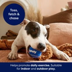 Frisco Chewy Fetch Squeaky Tennis Ball Dog Toy 9 Frisco Chewy Fetch Squeaky Tennis Ball Dog Toy -PetSafe Kong Shop 164314 PT3. AC SS1800 V1691783970