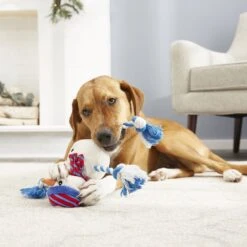 Frisco Holiday Snowman Plush With Rope Squeaky Dog Toy 7 Frisco Holiday Snowman Plush With Rope Squeaky Dog Toy -PetSafe Kong Shop 164645 PT2. AC SS1800 V1568910233