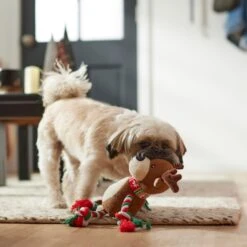Frisco Holiday Reindeer Plush With Rope Squeaky Dog Toy 7 Frisco Holiday Reindeer Plush With Rope Squeaky Dog Toy -PetSafe Kong Shop 164647 PT3. AC SS1800 V1632775042