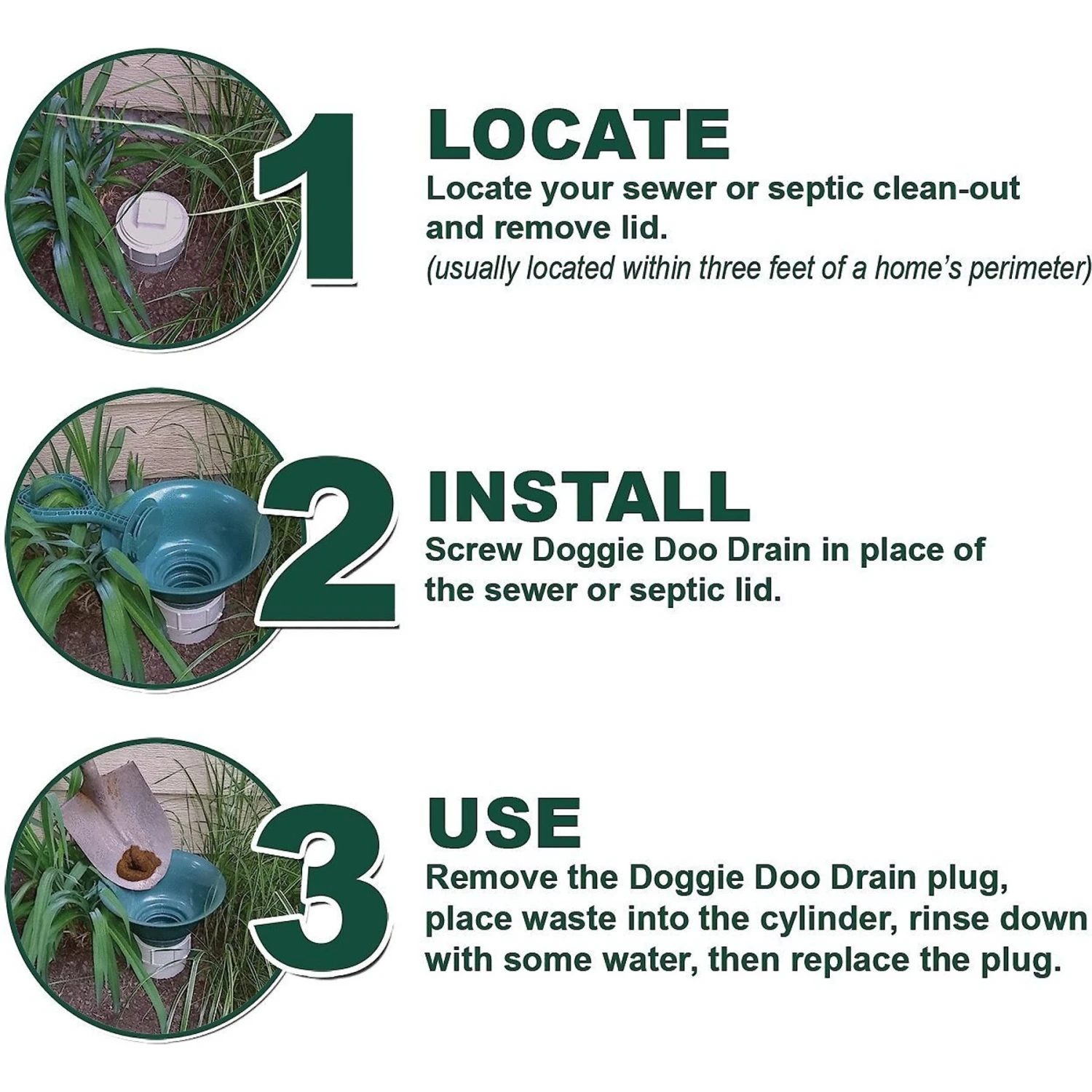 Doggie Doo Drain Pet Waste Removal 3 Doggie Doo Drain Pet Waste Removal - Image 3